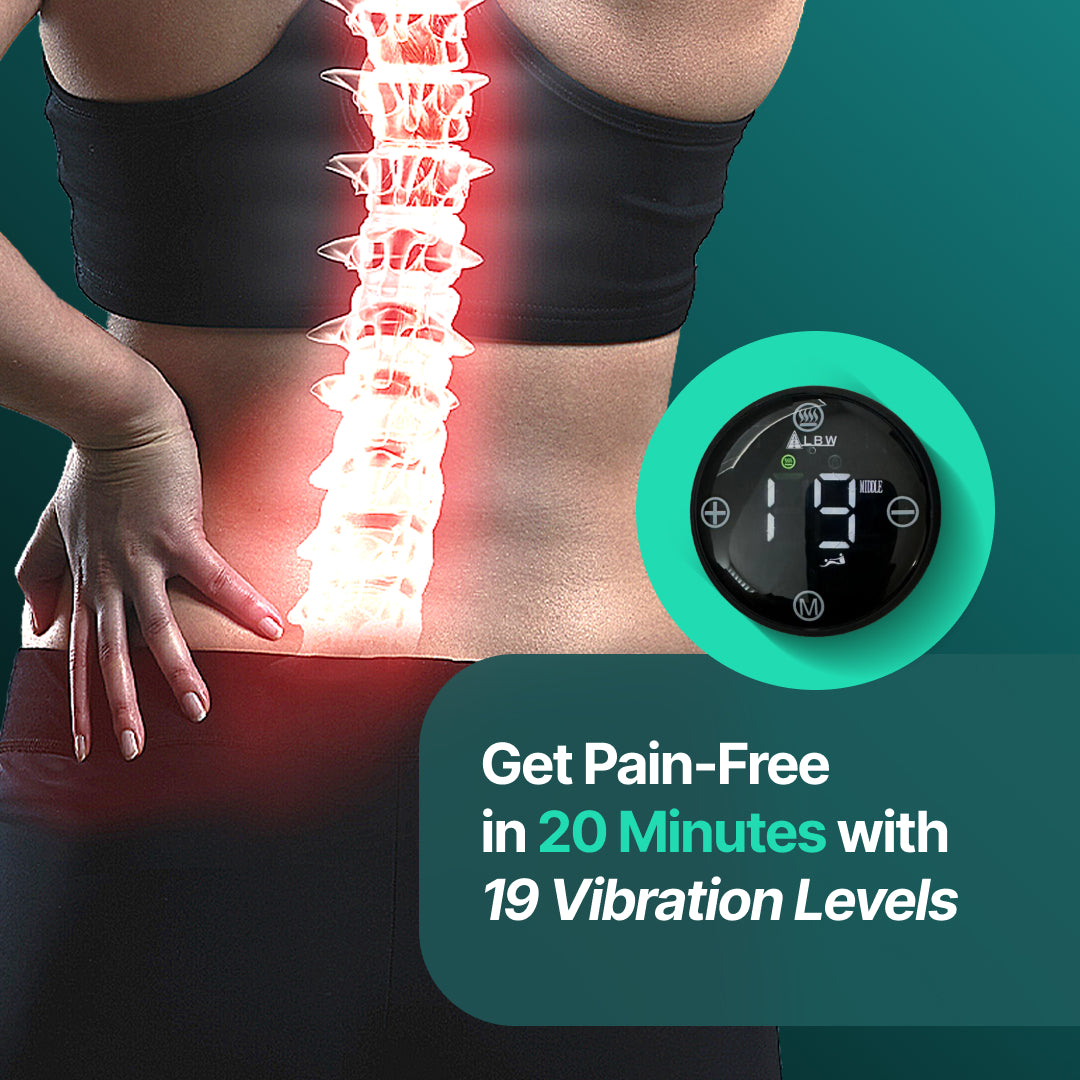 Lumbar Massage Belt With Infrared 150 LEDs